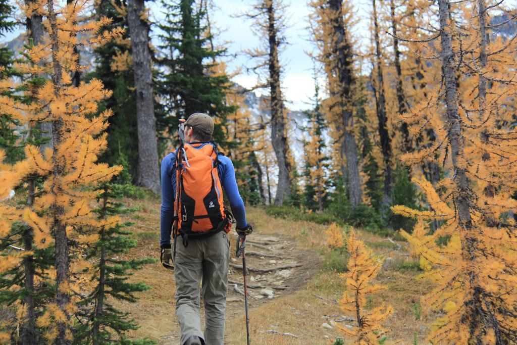 Manning Park Resort Luaran gambar