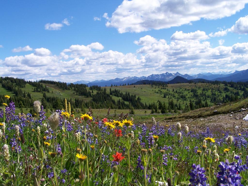 Manning Park Resort Luaran gambar